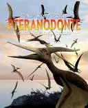 DINO HISTORIAS: PTERANODONTE DINO HISTORIAS: PTERANODONTE