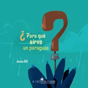 ¿PARA QUE SIRVE UN PARAGUAS? ¿PARA QUE SIRVE UN PARAGUAS?