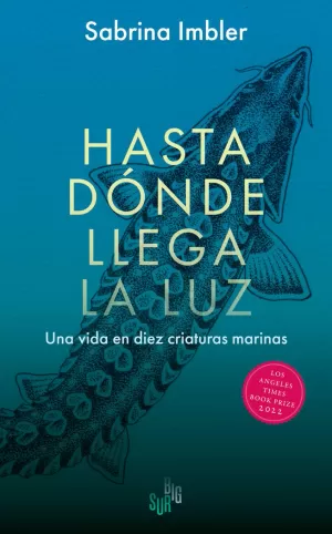 HASTA DÓNDE LLEGA LA LUZ HASTA DÓNDE LLEGA LA LUZ