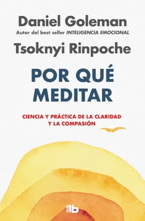 POR QUÉ MEDITAR POR QUÉ MEDITAR