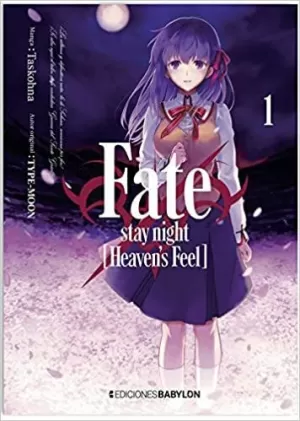 FATE STAY NIGHT HEAVENS FEEL 01