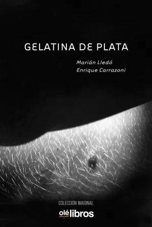 GELATINA DE PLATA GELATINA DE PLATA