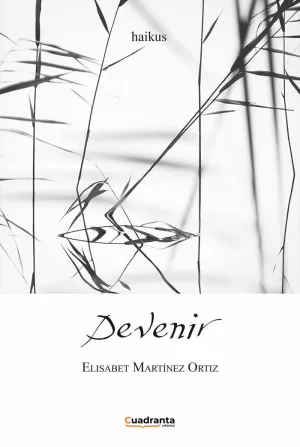 DEVENIR DEVENIR