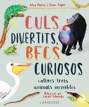 CULS DIVERTITS, BECS CURIOSOS CULS DIVERTITS, BECS CURIOSOS