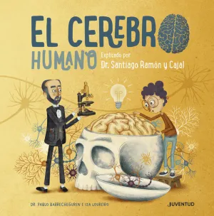 EL CEREBRO HUMANO EL CEREBRO HUMANO