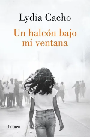 UN HALCON BAJO MI VENTANA