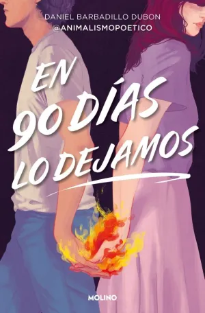 EN 90 DÍAS LO DEJAMOS EN 90 DÍAS LO DEJAMOS