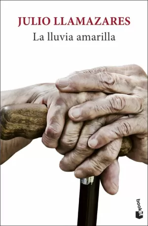 LA LLUVIA AMARILLA LA LLUVIA AMARILLA