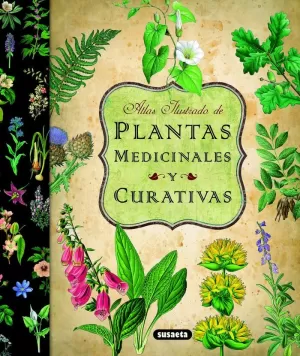 PLANTAS MEDICINALES Y CURATIVAS PLANTAS MEDICINALES Y CURATIVAS