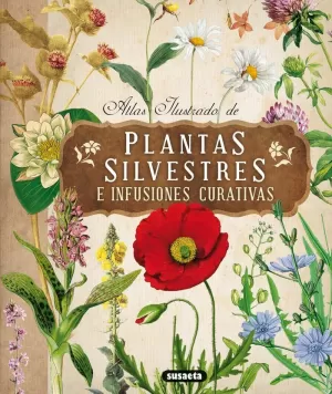 PLANTAS SILVESTRES E INFUSIONES CURATIVAS PLANTAS SILVESTRES E INFUSIONES CURATIVAS