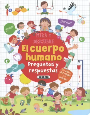 EL CUERPO HUMANO. PREGUNTAS Y RESPUESTAS EL CUERPO HUMANO. PREGUNTAS Y RESPUESTAS